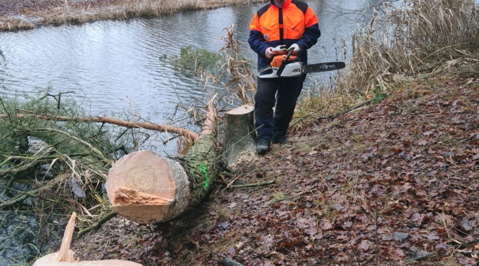 Ein junger Mann hat in der Nähe eines Flusses mit einer Motorsäge einen kleinen Baum gefällt. Ein junger Mann hat in der Nähe eines Flusses mit einer Motorsäge einen kleinen Baum gefällt.
