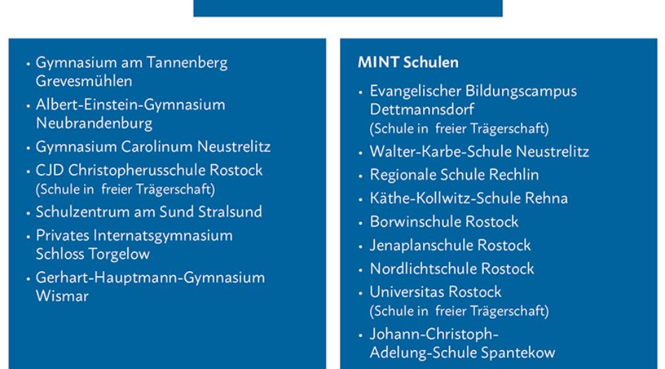 Grafik Begabungsförderung MINT Grafik Begabungsförderung MINT