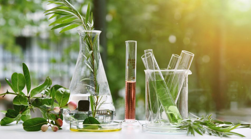 Laboraufbau mit Glaskolben, Reagenzgläsern und frischen Pflanzenzweigen, die eine Verbindung von Natur und Wissenschaft darstellen, vor einer grünen, sonnigen Hintergrundszene. Laboraufbau mit Glaskolben, Reagenzgläsern und frischen Pflanzenzweigen, die eine Verbindung von Natur und Wissenschaft darstellen, vor einer grünen, sonnigen Hintergrundszene.