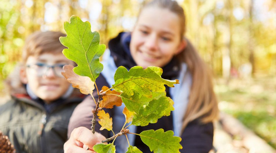 Ein Mädchen und ein Junge im Wald betrachten ein Zweig mit grünen und herbstlich verfärbten Blättern, die das Mädchen in die Kamera hält. Ein Mädchen und ein Junge im Wald betrachten ein Zweig mit grünen und herbstlich verfärbten Blättern, die das Mädchen in die Kamera hält.